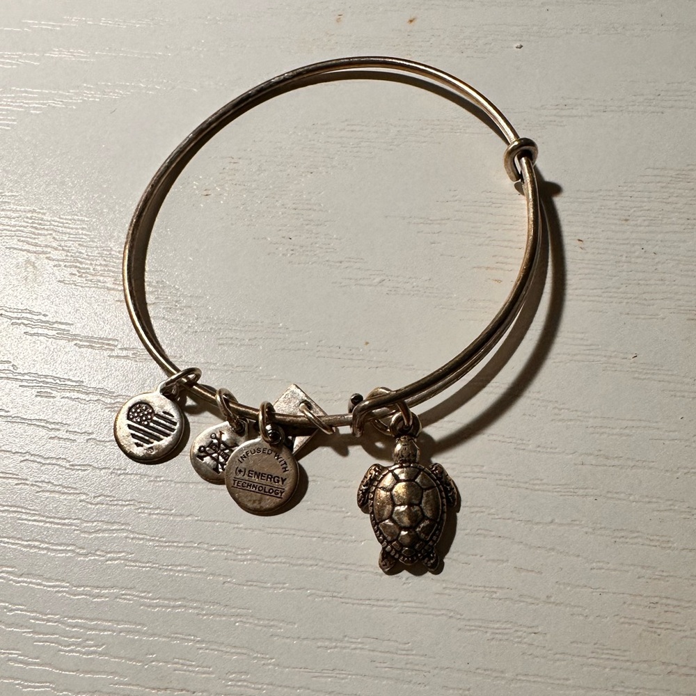 Alex and ani turtle bracelet
